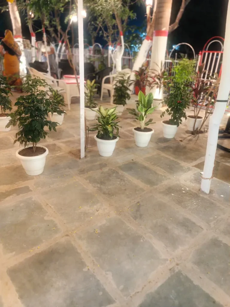 Kota Stone 2x2 3 Kota Stone 2x2 slabs neatly arranged for flooring and wall cladding, showing natural grey-green limestone surface with durable and polished finish, widely used in homes, offices, schools, and commercial projects across India.